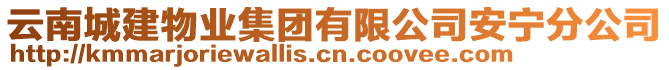 云南城建物業(yè)集團(tuán)有限公司安寧分公司