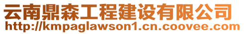 云南鼎森工程建設有限公司