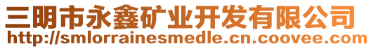 三明市永鑫礦業(yè)開發(fā)有限公司