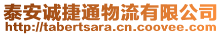 泰安誠捷通物流有限公司