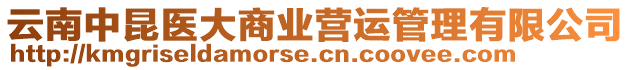 云南中昆醫(yī)大商業(yè)營運(yùn)管理有限公司