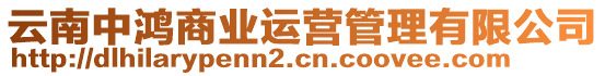 云南中鴻商業(yè)運(yùn)營(yíng)管理有限公司