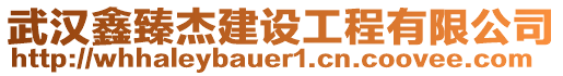 武漢鑫臻杰建設(shè)工程有限公司