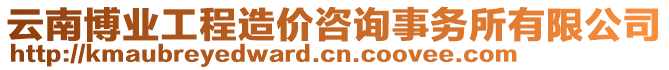 云南博業(yè)工程造價(jià)咨詢(xún)事務(wù)所有限公司