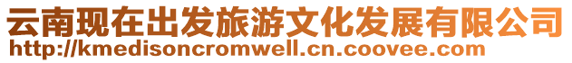 云南現(xiàn)在出發(fā)旅游文化發(fā)展有限公司