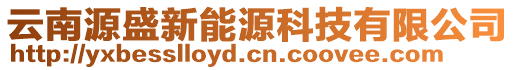 云南源盛新能源科技有限公司