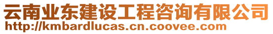 云南業(yè)東建設(shè)工程咨詢有限公司