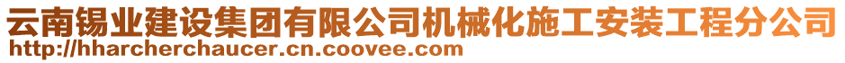 云南錫業(yè)建設集團有限公司機械化施工安裝工程分公司