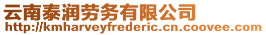 云南泰潤勞務(wù)有限公司