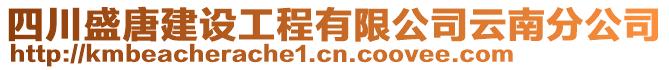 四川盛唐建設(shè)工程有限公司云南分公司