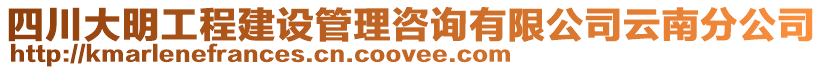 四川大明工程建設管理咨詢有限公司云南分公司