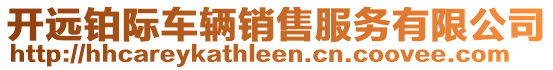 開遠(yuǎn)鉑際車輛銷售服務(wù)有限公司