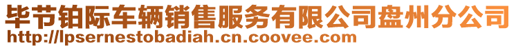 畢節(jié)鉑際車輛銷售服務(wù)有限公司盤州分公司