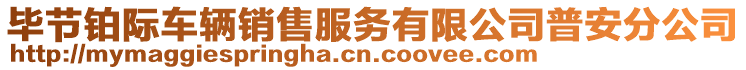 畢節(jié)鉑際車輛銷售服務有限公司普安分公司