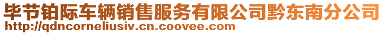 畢節(jié)鉑際車輛銷售服務(wù)有限公司黔東南分公司