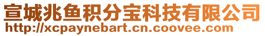 宣城兆魚積分寶科技有限公司