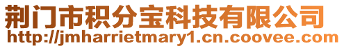 荊門市積分寶科技有限公司