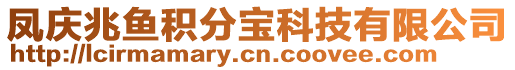 鳳慶兆魚(yú)積分寶科技有限公司