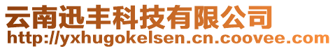 云南迅豐科技有限公司