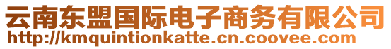 云南東盟國際電子商務有限公司