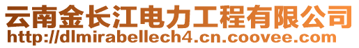 云南金長江電力工程有限公司