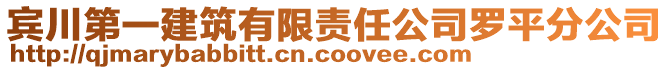 賓川第一建筑有限責任公司羅平分公司