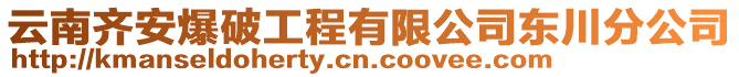 云南齊安爆破工程有限公司東川分公司