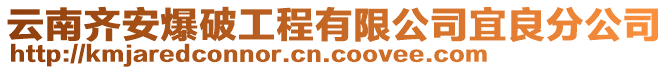 云南齊安爆破工程有限公司宜良分公司