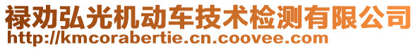 祿勸弘光機動車技術(shù)檢測有限公司