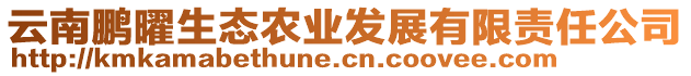 云南鵬曜生態(tài)農(nóng)業(yè)發(fā)展有限責(zé)任公司