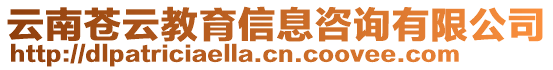 云南蒼云教育信息咨詢有限公司