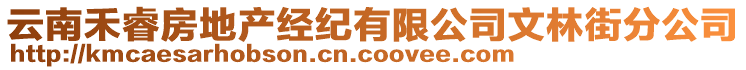 云南禾睿房地產(chǎn)經(jīng)紀(jì)有限公司文林街分公司