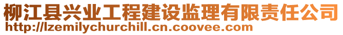 柳江縣興業(yè)工程建設(shè)監(jiān)理有限責(zé)任公司