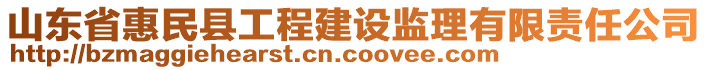 山東省惠民縣工程建設(shè)監(jiān)理有限責(zé)任公司