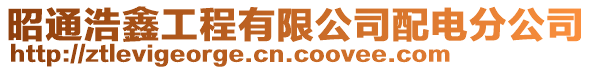 昭通浩鑫工程有限公司配電分公司