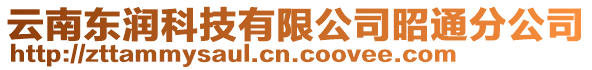 云南東潤科技有限公司昭通分公司