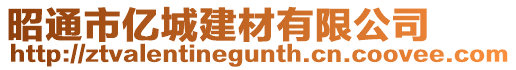 昭通市億城建材有限公司