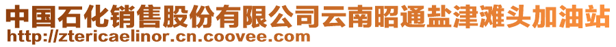 中國(guó)石化銷售股份有限公司云南昭通鹽津?yàn)╊^加油站