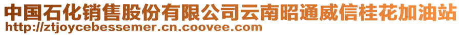 中國石化銷售股份有限公司云南昭通威信桂花加油站