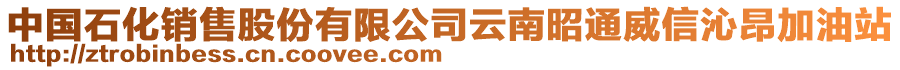 中國(guó)石化銷售股份有限公司云南昭通威信沁昂加油站