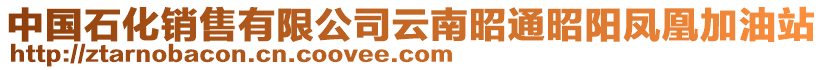 中國石化銷售有限公司云南昭通昭陽鳳凰加油站