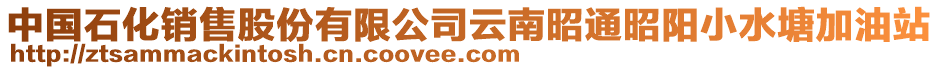 中國(guó)石化銷(xiāo)售股份有限公司云南昭通昭陽(yáng)小水塘加油站