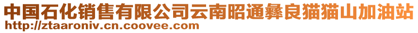 中國(guó)石化銷售有限公司云南昭通彝良貓貓山加油站