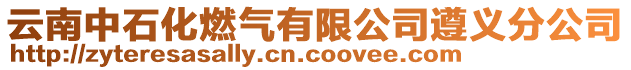 云南中石化燃?xì)庥邢薰咀窳x分公司