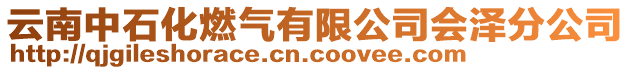 云南中石化燃气有限公司会泽分公司