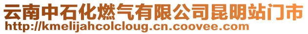 云南中石化燃?xì)庥邢薰纠ッ髡鹃T市