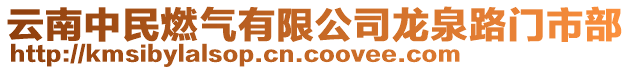 云南中民燃?xì)庥邢薰君埲烽T市部