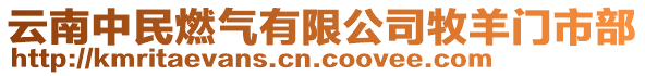 云南中民燃?xì)庥邢薰灸裂蜷T市部