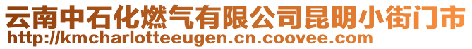 云南中石化燃?xì)庥邢薰纠ッ餍〗珠T市