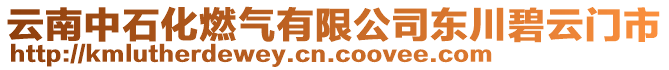 云南中石化燃氣有限公司東川碧云門市